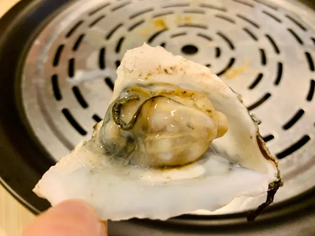 韓國慶南珍珠蠔