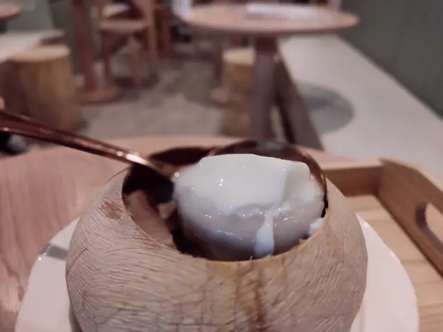 椰皇湯丸燉雙皮奶