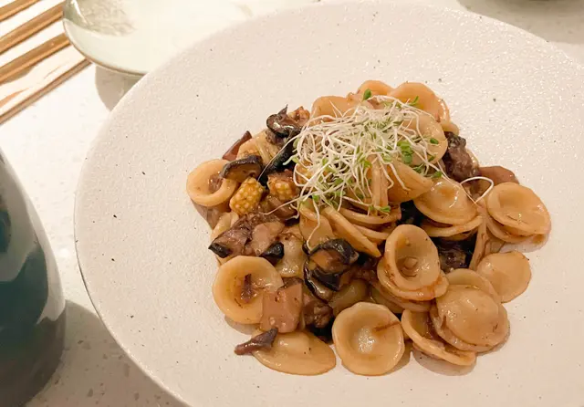 紅酒燴牛肉貓耳朵粉