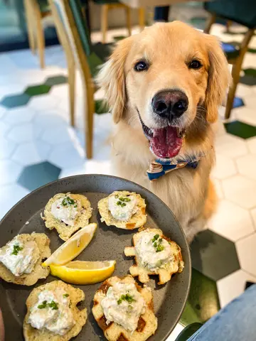Crab & Avocado Waffle Toasties