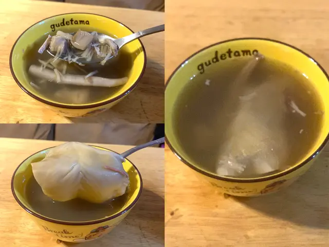 螺頭元貝象拔蚌豬展燉花膠湯