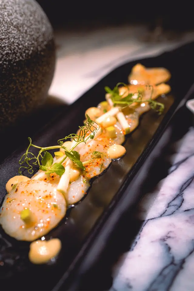 ✧Scallop / Lime / Green Apple