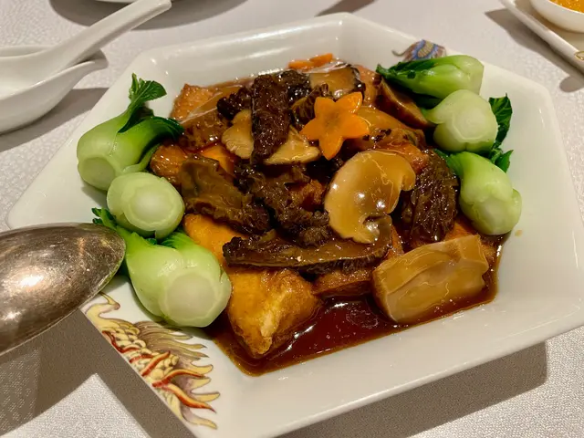 羊肚菌上素紅燒豆腐