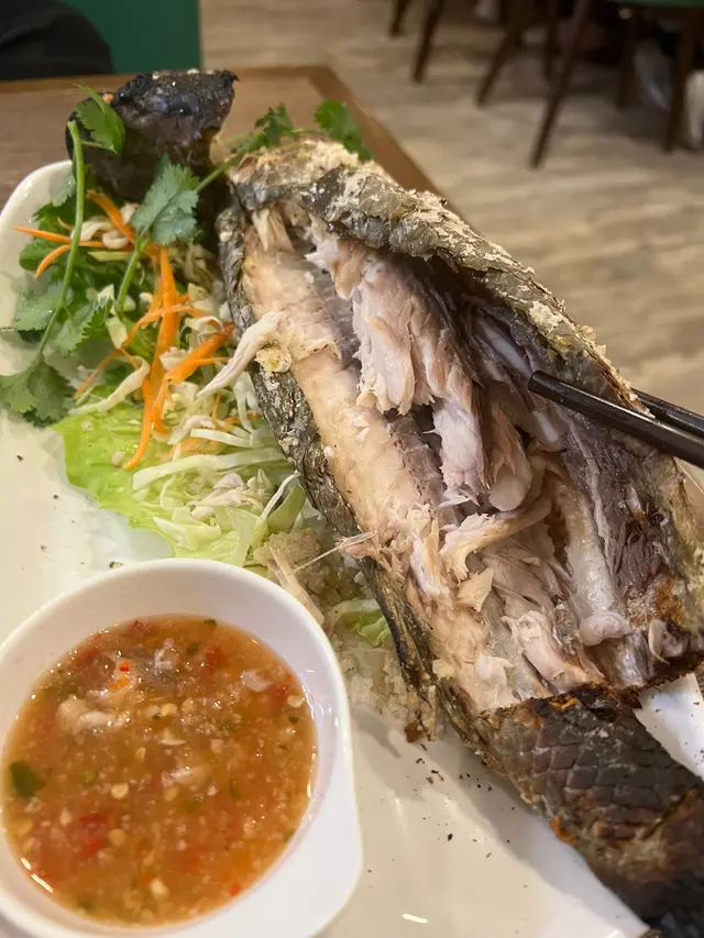 未食過咁腥嘅烏頭 一上枱完全係凍哂 食第一啖腥到想嘔     本身諗  算啦  頂硬上  因為太浪費  但真係頂到頂唔順  成條冇食到