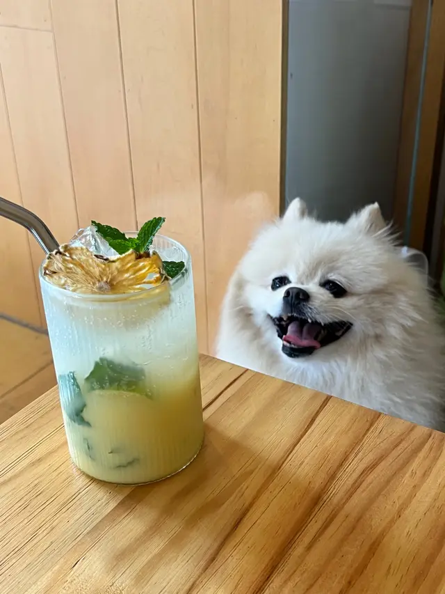 風梨多多莫吉托
