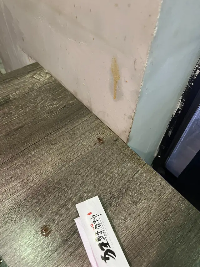 一餐飯出現兩隻曱甴