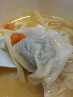 咖喱植物肉素餃