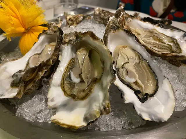 半打生蠔、牛扒餐及帶子意粉
