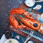 CAMPSITE Campfire Grilled Whole Lobster