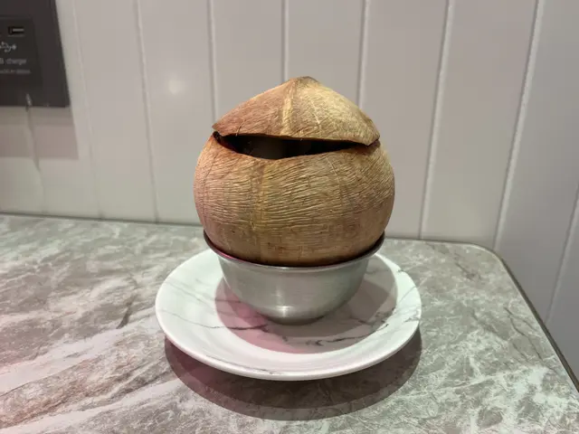 椰皇雞燉珍寶花膠