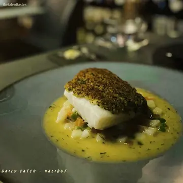 Daily catch (Halibut)