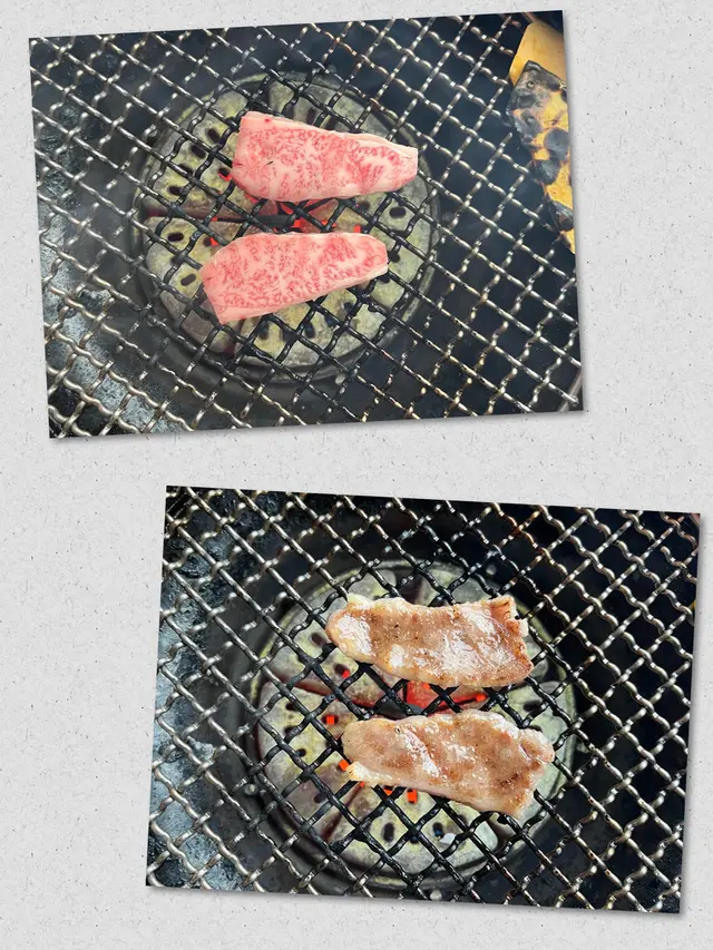 うちモモ(內後腿肉)