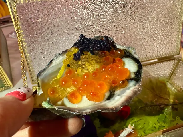 舊歡魚夢