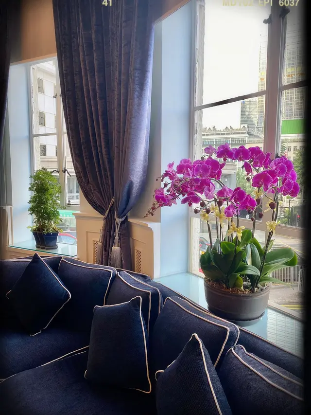 Blue Room