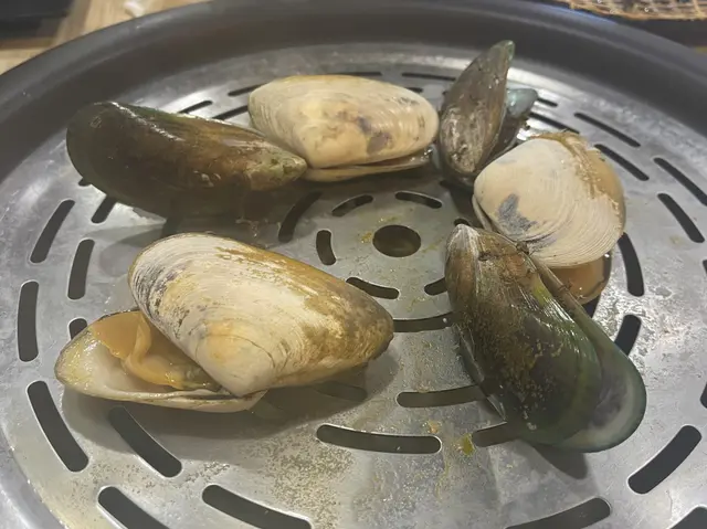 野生日本深海百刀貝