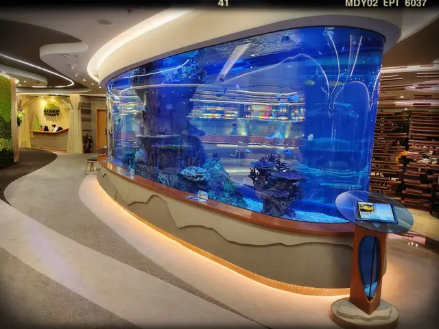 超大型魚缸