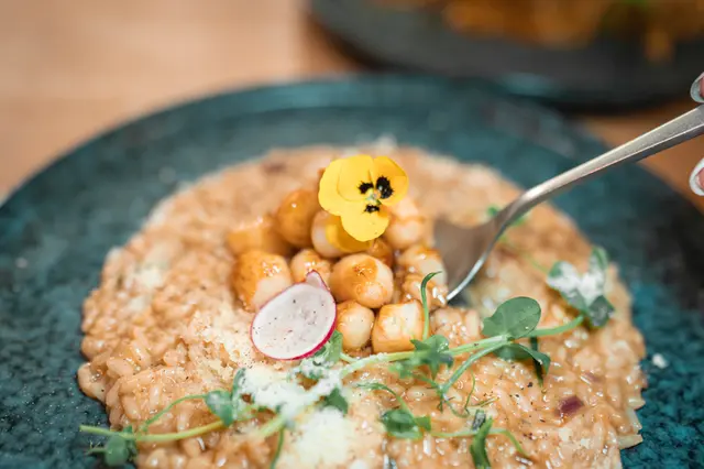 北海道魷魚肝汁意大利飯配香煎刺身級小貝柱