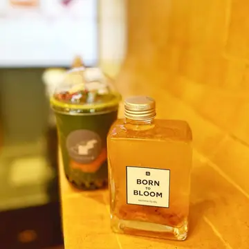 樱花绽放 Crystal Bloom