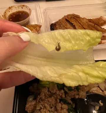 猪肉碎生菜包