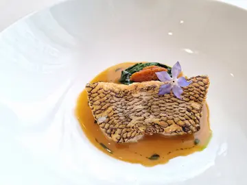 Glacier 51 Toothfish