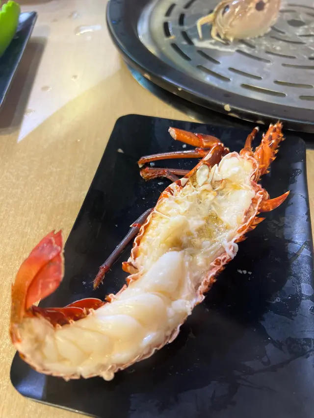 澳洲青年龍蝦  