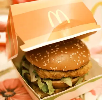 Chicken Big Mac