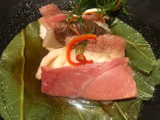 麒麟星斑球