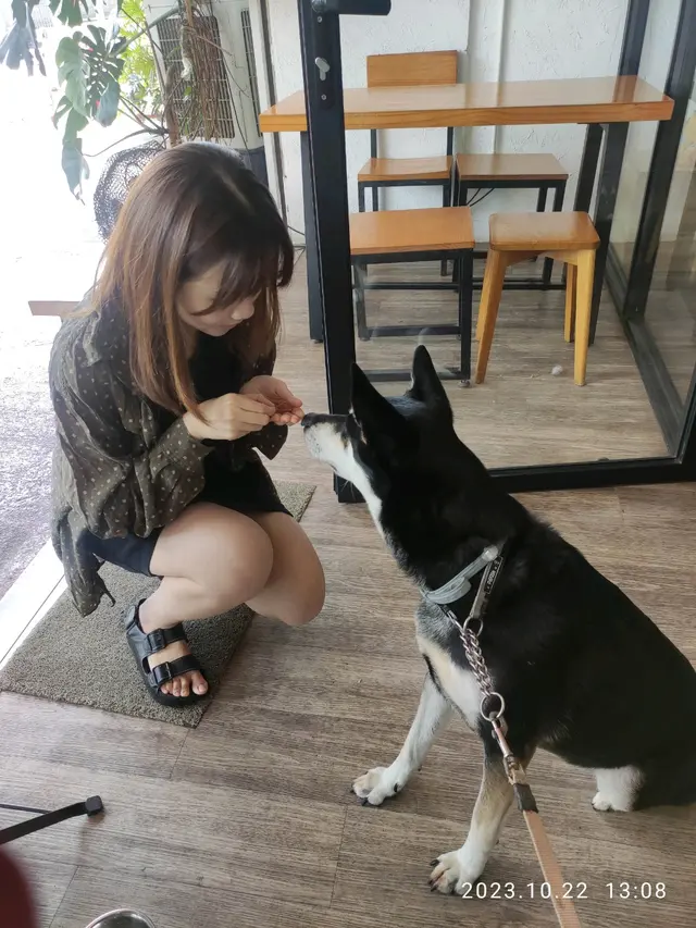 美姐姐請狗狗吃零食