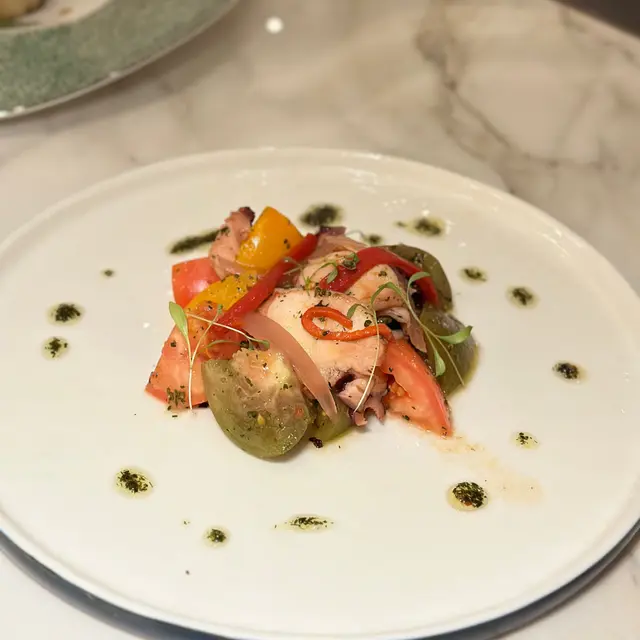 Mediterranean Octopus