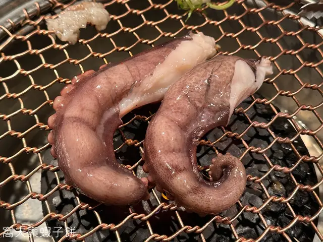 澳洲大八爪魚腳