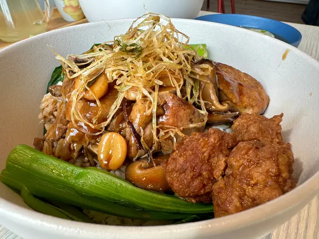 火燻鴨子獅子頭燴菜飯