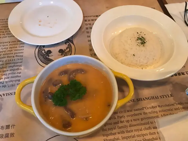俄國牛柳絲飯