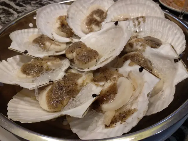 黑松露蒸大元貝