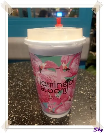 橙子茉莉绿茶