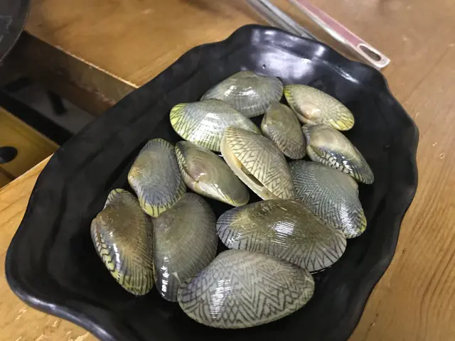 花甲