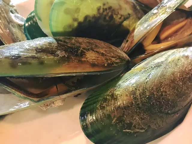 白灼黑青口