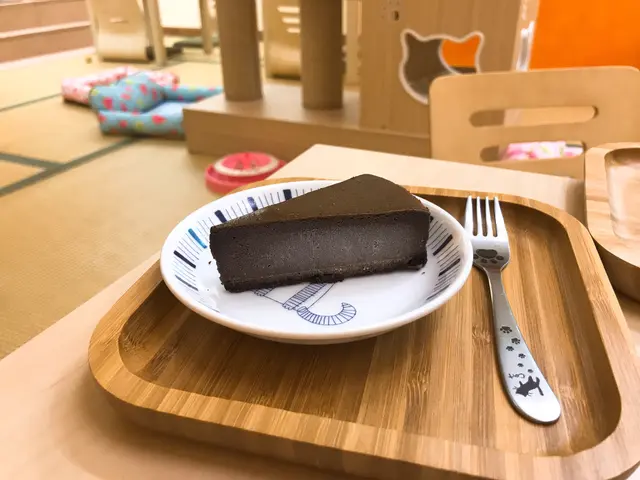 不太甜朱古力芝士蛋糕 