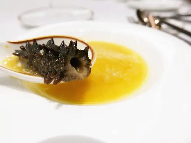 金湯小米北海道遼參