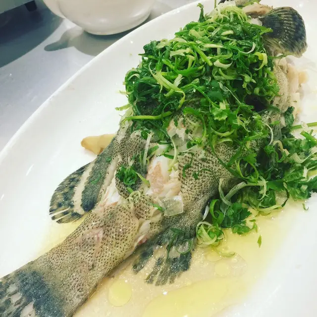 龍等吾錯但偏細條