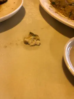 我未食過咁嘅質地嘅蠔餅囉