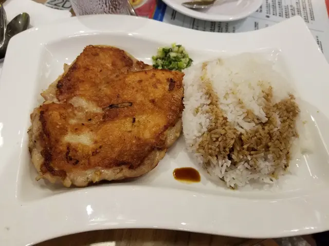 巨大雞扒飯