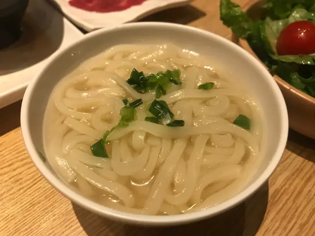 稻庭熱烏冬