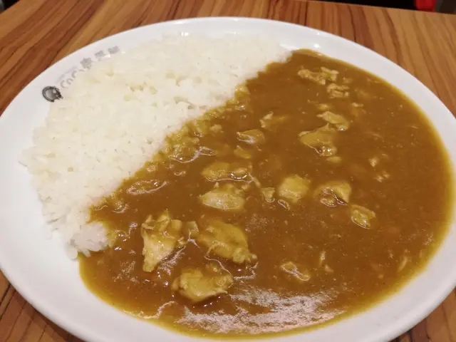 炆雞肉咖哩飯