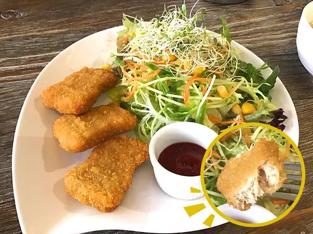 雞肉其實係猴頭菇經油炸整成(見小圖),但一啲都唔油。沙律亦ok新鮮~