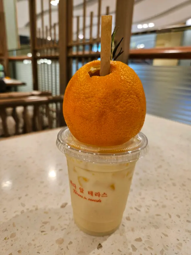 濟州柑橘乳酪
