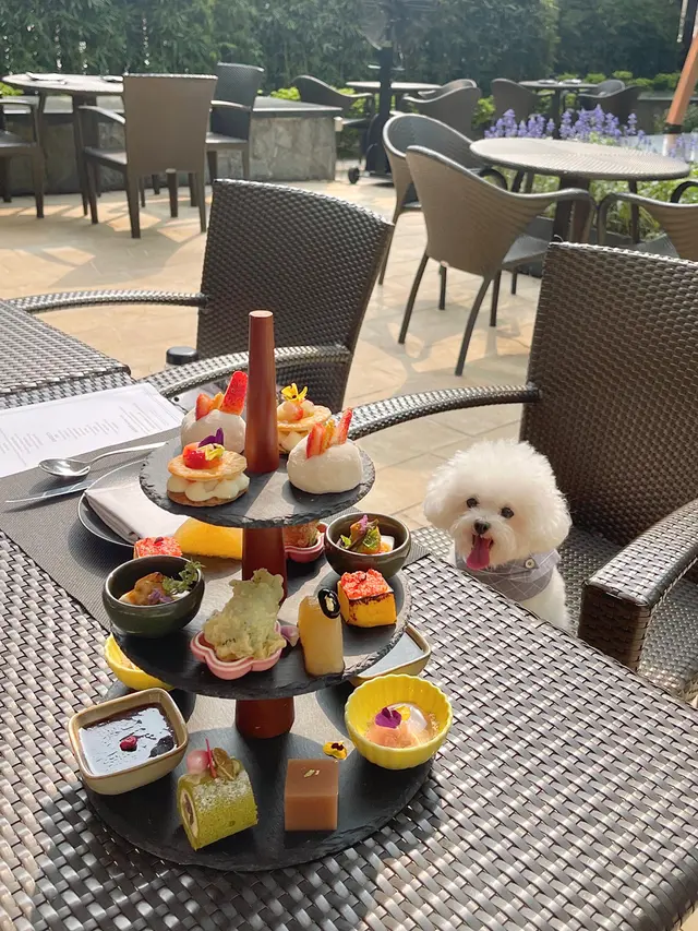「春日果漾」下午茶