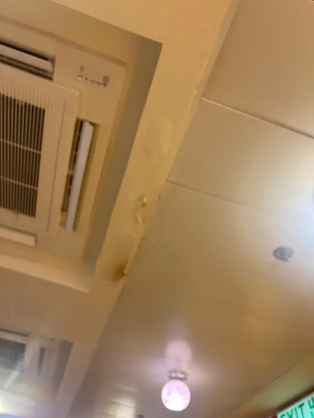甩灰嘅天花板