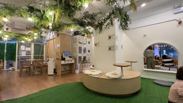 #貓啡 #hongkong #貓cafe #領養貓咪 #流浪貓 #Cafe #香港美食 #旺角 #旺角美食