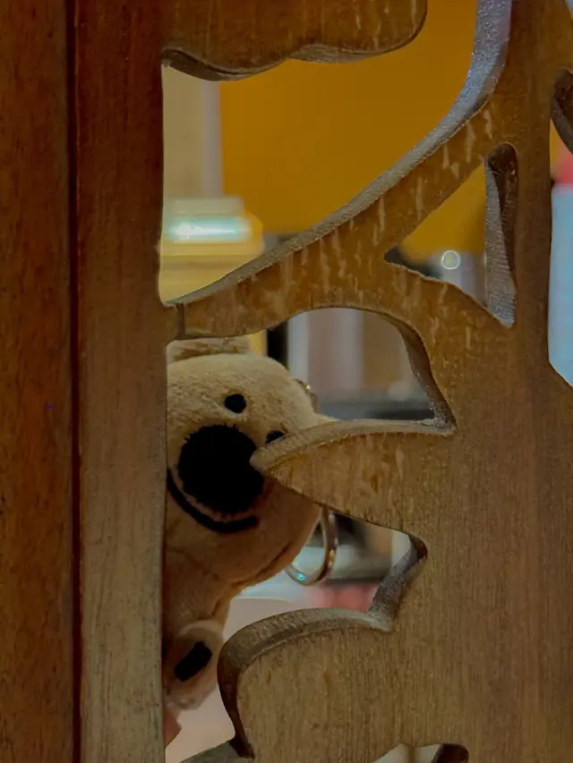 找我有事嗎?ʕ •ᴥ•ʔ