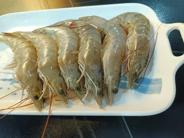 海蝦